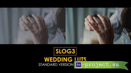 Videohive - Slog3 Wedding and Standard LUTs - 40914790 - DaVinci Resolve