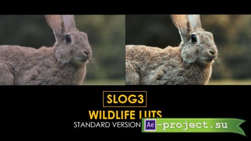 Videohive - Slog3 Wildlife and Standard LUTs - 40915682 - DaVinci Resolve