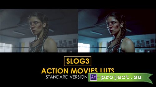 Videohive - Slog3 Action Movies and Standard LUTs - 40915574 - DaVinci Resolve