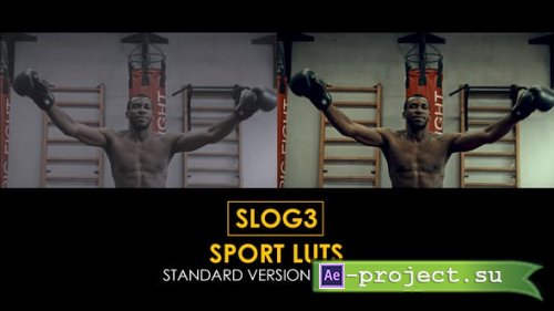 Videohive - Slog3 Sport and Standard LUTs - 40755951 - DaVinci Resolve