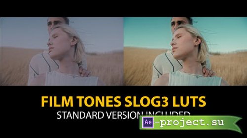 Videohive - Slog3 Film Tones and Standard LUTs - 40755781 - DaVinci Resolve