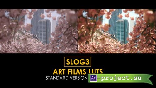 Videohive - Slog3 Art Films and Standard LUTs - 40754955 - DaVinci Resolve
