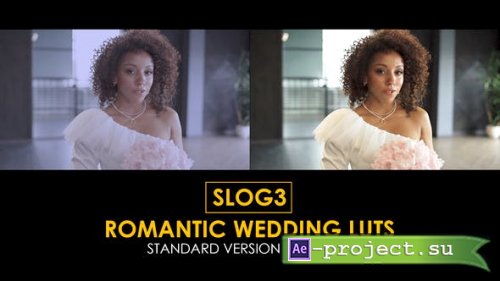 Videohive - Slog3 Romantic Wedding and Standard LUTs - 40754935 - DaVinci Resolve