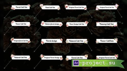 Videohive - Flower Call Outs - 42190811 - Project for After Effects