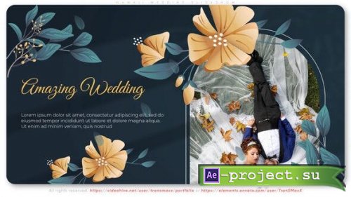 Videohive - Hawaii Wedding Slideshow - 42435167 - Project for After Effects
