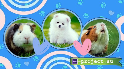 Проект ProShow Producer - Pet Shop Pro