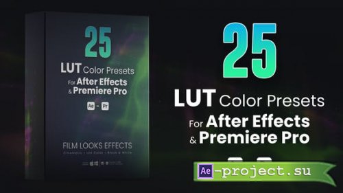 Videohive - 25 LUTs pack for After Effects and Premiere Pro - 42782626 - LUTs  After Effects and Premiere Pro 