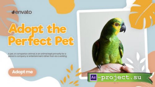 Videohive - Adopt Pet Promo - 42800787 - Project for After Effects