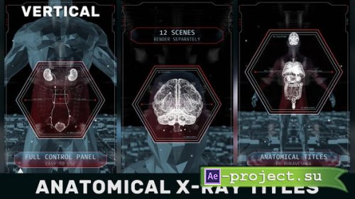 Videohive - Anatomical X-Ray Titles Vertical - 42887575 - Project for After Effects