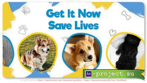 Videohive - Good Pet - 42948319 - Project for After Effects