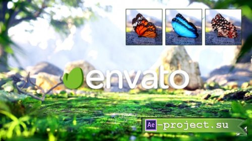 Videohive - Nature Logo Reveal - 43179267 - Project for After Effects