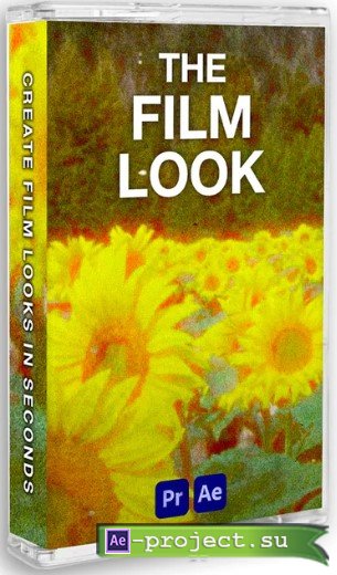 THE FILM LOOK