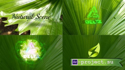 Videohive - Nature Logo Reveal - 43254659 - Project for After Effects