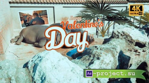 Videohive - Hippo Valentines Day - 35633306 - Project for After Effects