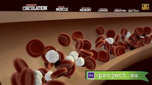 Videohive - The Blood - 33753186 - Project for After Effects