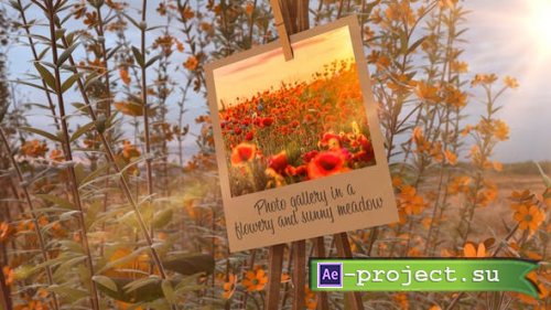 Videohive - Photo Gallery in a flowery and sunny meadow - 43510481 - Project for After Effects
