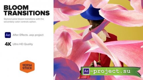 Videohive - Bloom Transitions - 43584465 - Project for After Effects