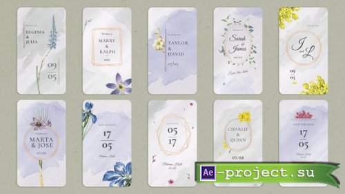 Videohive - Wedding Invitation Tik Tok | Stories - 43675627 - Project for After Effects