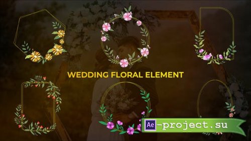 Videohive - Wedding Colorful Floral Element - 43899808 - Project for After Effects