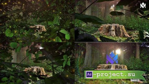 Videohive - Nature Logo Reveal - 44157637 - Project for After Effects
