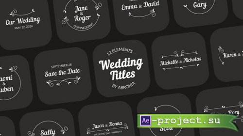 Videohive - Wedding Titles - 44317849 - Project for After Effects
