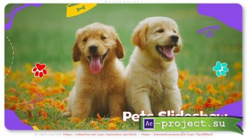 Videohive - Welcome Pet - 44373316 - Project for After Effects