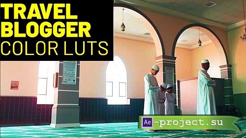 Travel Blogger LUTs 1225005 - After Effects Presets