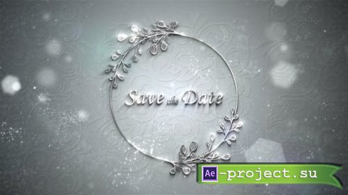 Videohive - Wedding Silver Titles - 45482088 - Project for After Effects