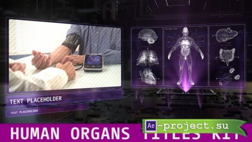 Videohive - Human Organs Titles Kit - 45504697 - Project for After Effects