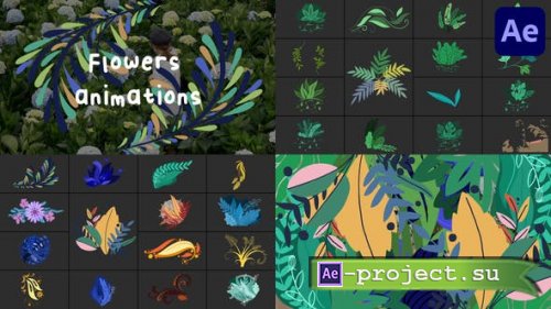 Videohive - Flowers Animations for After Effects - 45839710 - Project for After Effects