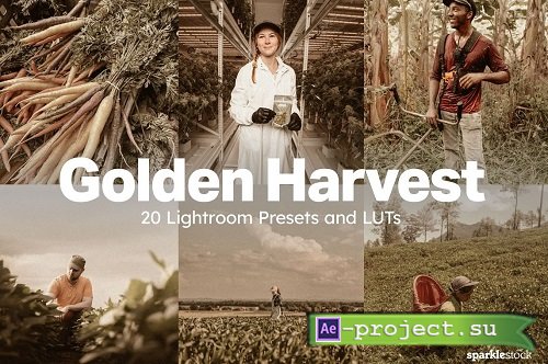 20 Golden Harvest Lightroom Presets - 17689301