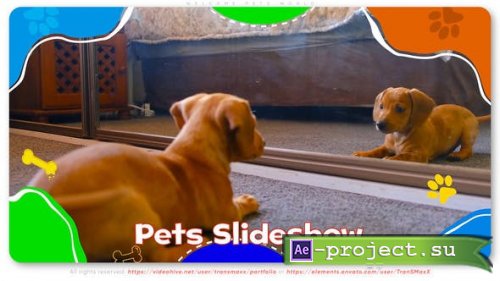 Videohive - Welcome Pets World - 46298871 - Project for After Effects