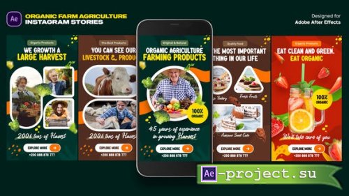 Videohive - Organic Food Instagram Stories - 46320755 - Project for After Effects
