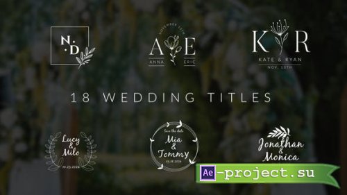 Videohive - Wedding Titles - 45462916 - Project for After Effects