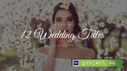 Videohive - Wedding Titles - 22070117 - Project for After Effects