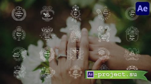 Videohive - Wedding Titles for After Effects - 46578734 - Project for After Effects