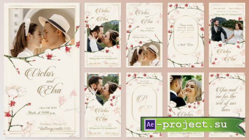Videohive - Wedding Invitation Instagram Stories - 44874801 - Project for After Effects
