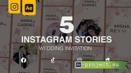 Videohive - Wedding Invitation Instagram Stories 5 in 1 - 46807235 - Project for After Effects