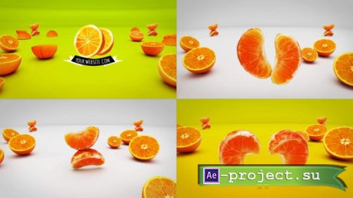 Videohive - Orange Fruit Logo Reveals - 46834455 - Project for After Effects