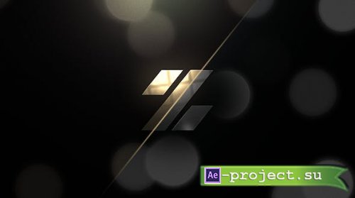 Videohive - Premium | Logo Reveal - 20873105 - Project for After Effects