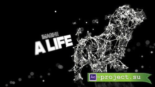 Videohive - Sustainable Living - 44408279 - Project for After Effects