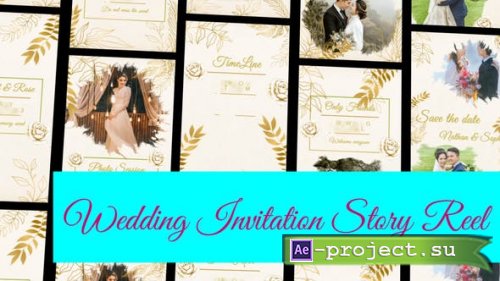 Videohive - Wedding Invitation Instagram and TikTok Reel - 47173850 - Project for After Effects
