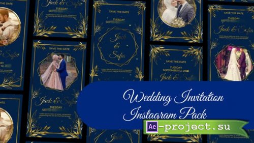 Videohive - Wedding Invitation Instagram Story and Reel II - 47200802 - Project for After Effects