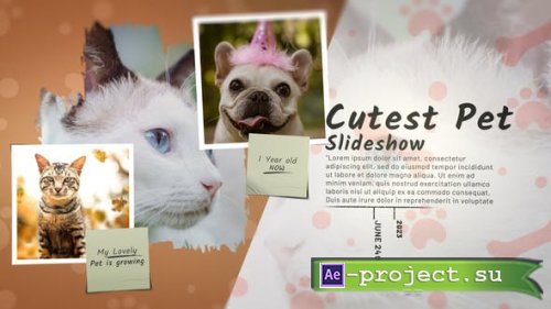 Videohive - Cutest Pet Slideshow - 47239191 - Project for After Effects