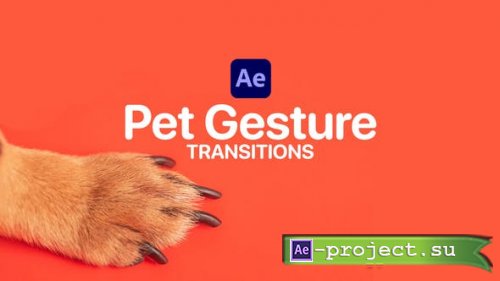 Videohive - Pet Gesture Transitions for After Effects - 47367361 - Project for After Effects