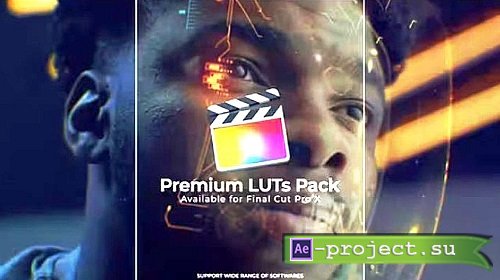 Videohive - Cinematic LUTs pack 46910005 - Project For Final Cut & Apple Motion