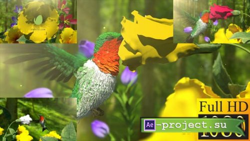 Videohive - Nature Flowers and Birds - 39146976 - Project for After Effects