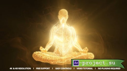 Videohive - Meditation Reveal - 47770669 - Project for After Effects