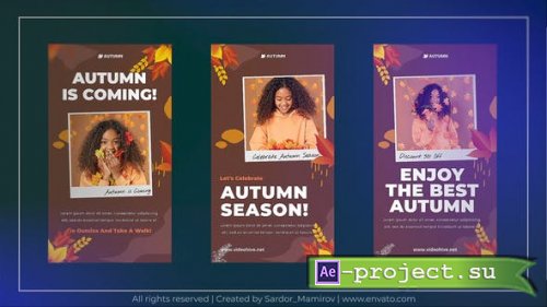 Videohive - Hello Autumn, Instagram Stories - 47990359 - Project for After Effects