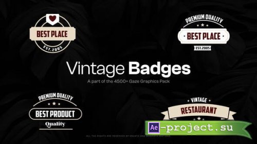 Videohive - 15 Vintage Badges - 48091658 - Project for After Effects